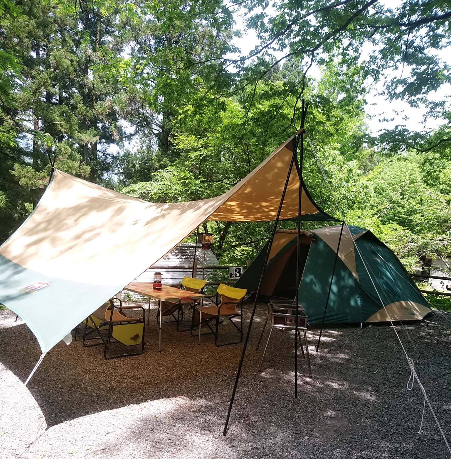 シェードセット